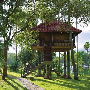Tree House